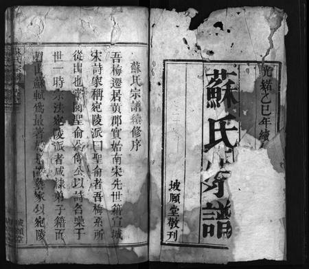 湖北苏氏族谱-苏氏宗谱 [8卷,首2卷](别名：Su Shi Zong Pu、苏氏宗谱).pdf电子版插图3