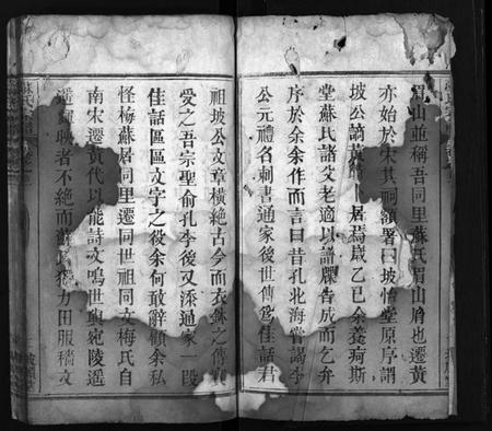 湖北苏氏族谱-苏氏宗谱 [8卷,首2卷](别名：Su Shi Zong Pu、苏氏宗谱).pdf电子版插图4