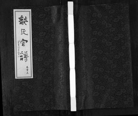 江苏谈氏族谱-谈氏宗谱[5卷含首2卷](别名：Tan Shi Zong Pu).pdf电子版