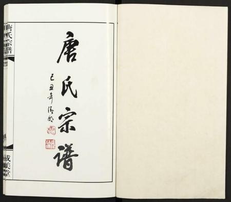 江苏唐氏族谱-唐氏宗谱 [8卷](别名：胡庄唐氏宗谱).pdf电子版插图1