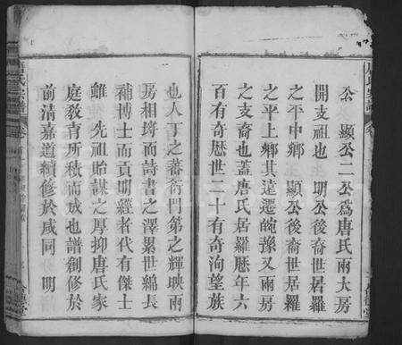 湖北唐氏族谱-唐氏四修宗谱 [6卷,首4卷](别名：唐氏宗谱、Tang Shi Si Xiu Zong Pu).pdf电子版插图3