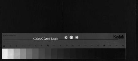 湖北唐氏族谱-唐氏宗谱 [12卷,卷1首](别名：Tang Shi Zong Pu).pdf电子版