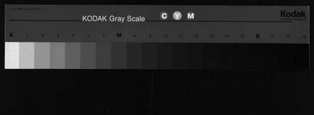 湖北唐氏族谱-唐氏宗谱 [4卷,首3卷](别名：唐氏族谱、Tang Shi Zong Pu).pdf电子版