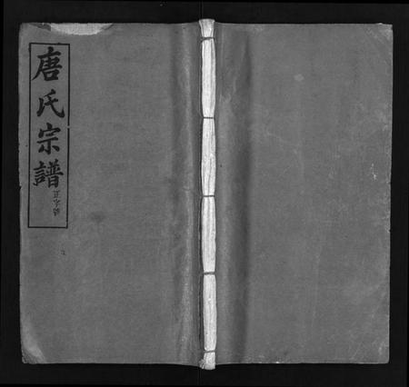 湖北唐氏族谱-唐氏宗谱 [4卷,首3卷](别名：唐氏族谱、Tang Shi Zong Pu).pdf电子版插图1