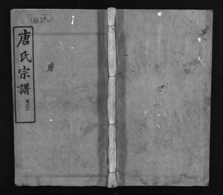 湖北唐氏族谱-唐氏宗谱 [残卷](别名：Tang Shi Zong Pu、唐氏宗谱).pdf电子版插图1