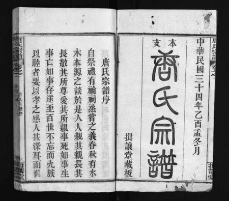 湖北唐氏族谱-唐氏宗谱 [残卷](别名：Tang Shi Zong Pu、唐氏宗谱).pdf电子版插图2