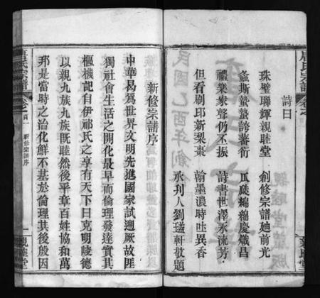 湖北唐氏族谱-麻城唐氏宗谱 [7卷,含首4卷](别名：Ma Cheng Tang Shi Zong Pu、唐氏宗谱、麻城唐氏宗谱).pdf电子版插图3