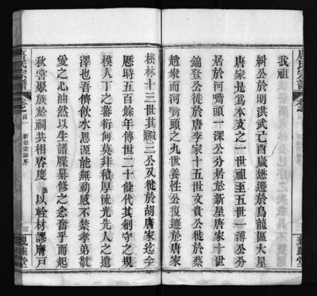 湖北唐氏族谱-麻城唐氏宗谱 [7卷,含首4卷](别名：Ma Cheng Tang Shi Zong Pu、唐氏宗谱、麻城唐氏宗谱).pdf电子版插图5