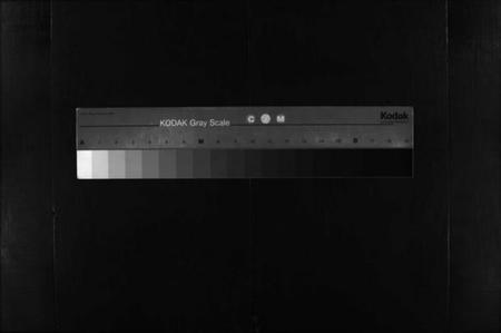 湖北陶氏族谱-陶氏宗谱 [24卷](别名：黄安陶氏宗谱、Tao Shi Zong Pu).pdf电子版