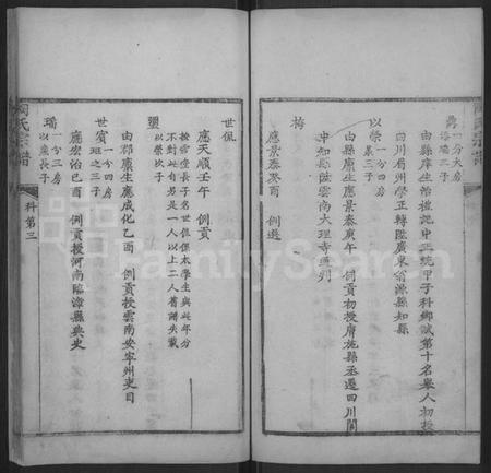 湖北陶氏族谱-陶氏宗谱 [不分卷](楚黄陶氏宗谱).pdf电子版插图3