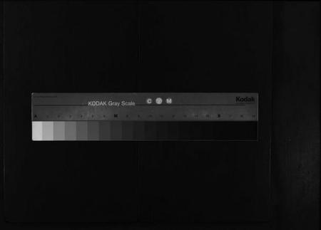 湖北童氏族谱-童氏宗志 [38卷,首4卷](别名：Tong Shi Zong Zhi).pdf电子版