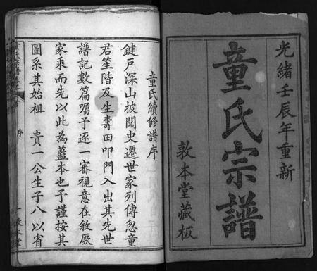 湖北童氏族谱-童氏宗谱 [33卷,首2卷](别名：Tong Shi Zong Pu).pdf电子版插图2