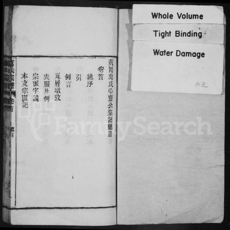 湖北万氏族谱-万氏宗谱 [10卷首末各1卷](别名：黄冈万氏心斋公宗谱、黄冈万氏心斋公支下四修宗谱).pdf电子版插图1