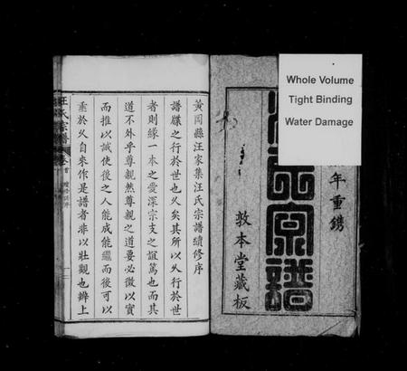 湖北汪氏族谱-汪氏宗谱 [14卷](别名：黄冈汪家集汪氏宗谱).pdf电子版插图2