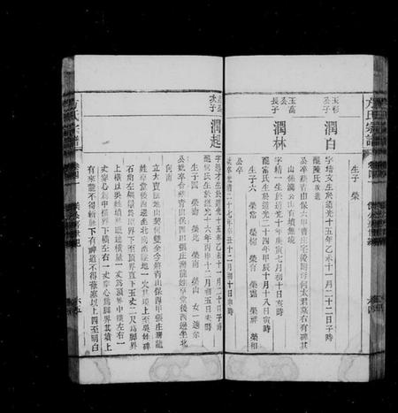 湖北汪氏族谱-汪氏宗谱 [9卷,首2卷](别名：汪氏族谱).pdf电子版插图5