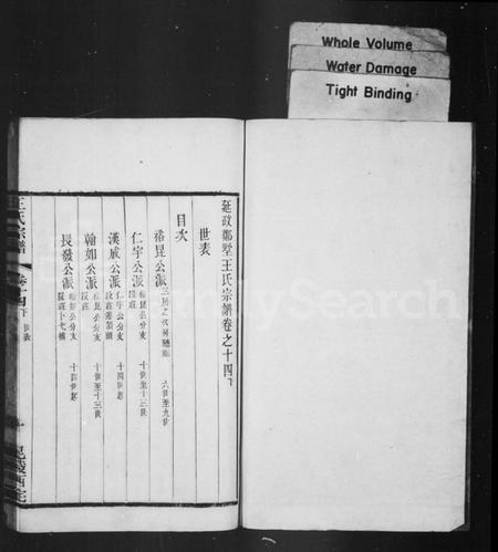 江苏王氏族谱-延政王氏宗谱 [14卷,首1卷](别名：王氏宗谱).pdf电子版插图2