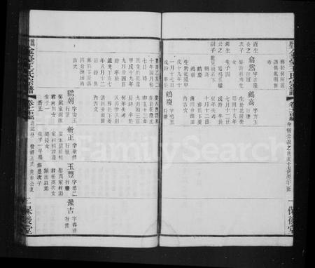 江苏王氏族谱-毘陵魏墅金台王氏宗谱 [残卷](别名：魏墅金台王氏宗谱).pdf电子版插图3