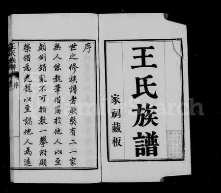 江苏王氏族谱-海安王氏族谱 [8卷](别名：王氏族谱).pdf电子版插图4