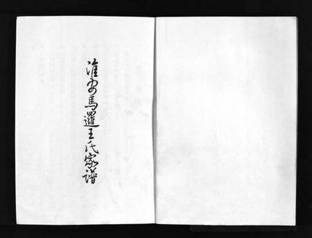 江苏王氏族谱-淮安马逻王氏家谱 [不分卷](别名：Huai An Ma Luo Wang Shi Jia Pu、淮安马逻王氏家谱).pdf电子版插图2