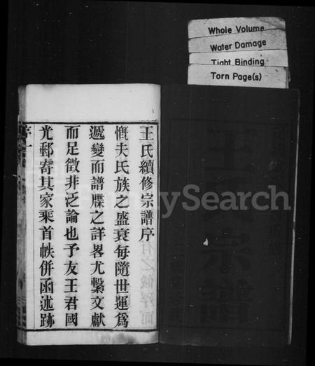 江苏王氏族谱-王氏宗谱 [10卷](别名：毘陵王氏续修宗谱).pdf电子版插图2