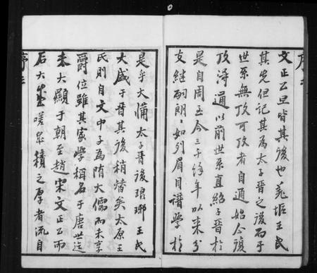 江苏王氏族谱-王氏宗谱 [10卷](别名：羌抠王氏宗谱).pdf电子版插图5