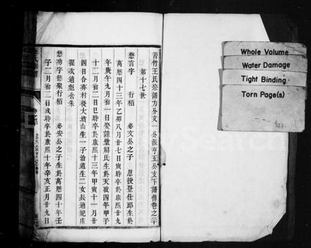江苏王氏族谱-苦竹王氏宗谱 [残卷](王氏宗谱).pdf电子版插图1