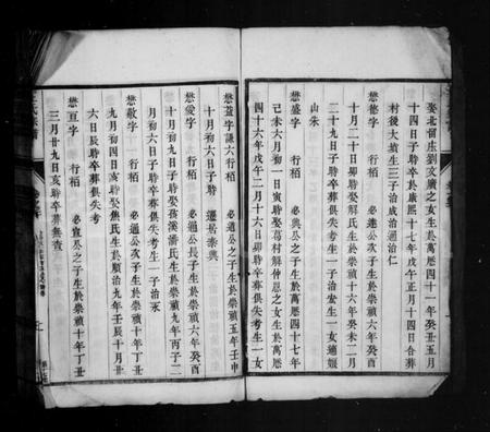 江苏王氏族谱-苦竹王氏宗谱 [残卷](王氏宗谱).pdf电子版插图3