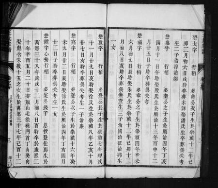 江苏王氏族谱-苦竹王氏宗谱 [残卷](王氏宗谱).pdf电子版插图5