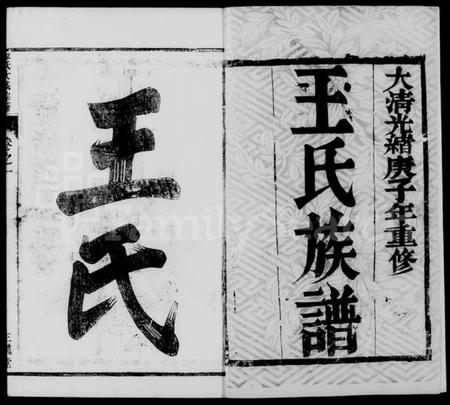 江苏王氏族谱-金沙王氏大成宗谱 [4卷](别名：王氏宗谱、王氏族谱).pdf电子版插图5