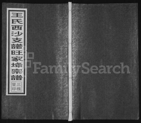 江苏王氏族谱-王氏西沙支谱旺家(土夅)宗谱 [不分卷](别名：旺家(土夅)王氏宗谱).pdf电子版