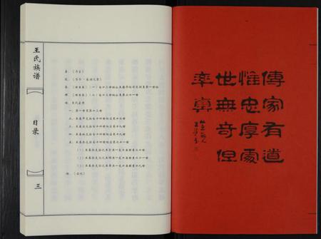 江苏王氏族谱-王氏族谱 [不分卷](别名：王氏族谱—三槐王氏).pdf电子版插图2