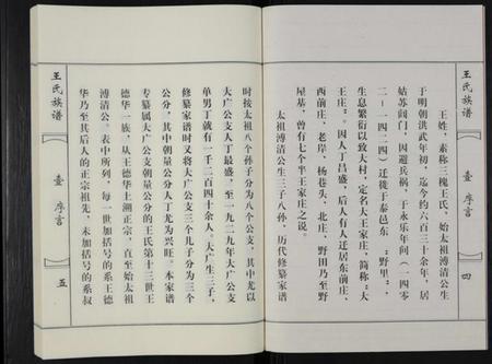 江苏王氏族谱-王氏族谱 [不分卷](别名：王氏族谱—三槐王氏).pdf电子版插图3