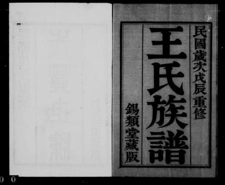 江苏王氏族谱-王氏族谱 [26卷, 首1卷](别名：岳阳王氏宗谱).pdf电子版