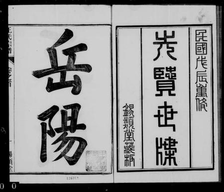 江苏王氏族谱-王氏族谱 [26卷, 首1卷](别名：岳阳王氏宗谱).pdf电子版插图1