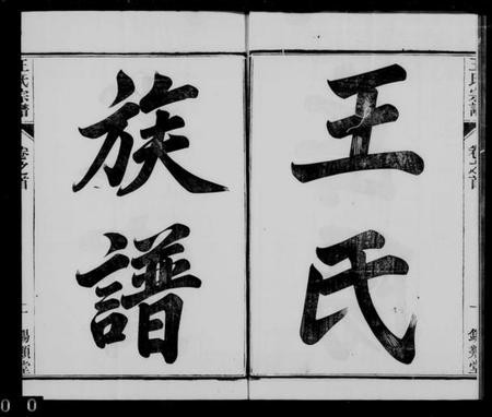 江苏王氏族谱-王氏族谱 [26卷, 首1卷](别名：岳阳王氏宗谱).pdf电子版插图2