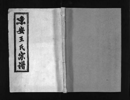 湖北王氏族谱-东安王氏宗谱 [3卷](别名：东安王氏甲戌十修宗谱、东安王氏甲戌十修宗谱德宏支房、DongAn Wang Shi Zong Pu、王氏宗谱、东安王氏宗谱).pdf电子版插图1
