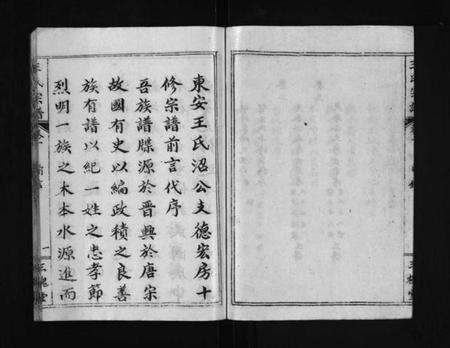湖北王氏族谱-东安王氏宗谱 [3卷](别名：东安王氏甲戌十修宗谱、东安王氏甲戌十修宗谱德宏支房、DongAn Wang Shi Zong Pu、王氏宗谱、东安王氏宗谱).pdf电子版插图5