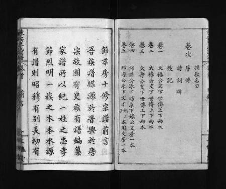 湖北王氏族谱-东安王氏宗谱 [5卷,首1卷](别名：东安王氏癸酉宗谱、东安王氏宗谱癸酉节孝房支、Dongan Wang Shi Zong Pu、王氏统宗谱、东安王氏宗谱).pdf电子版插图3