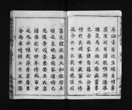 湖北王氏族谱-东安王氏宗谱 [5卷,首1卷](别名：东安王氏癸酉宗谱、东安王氏宗谱癸酉节孝房支、Dongan Wang Shi Zong Pu、王氏统宗谱、东安王氏宗谱).pdf电子版插图4