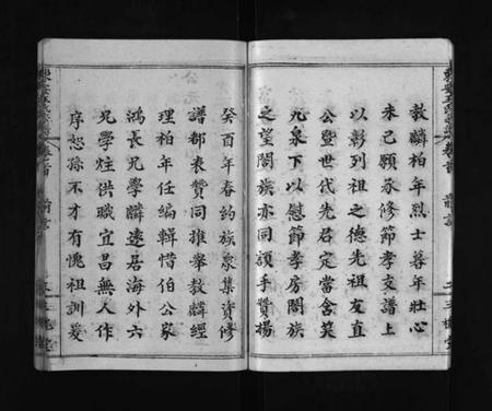 湖北王氏族谱-东安王氏宗谱 [5卷,首1卷](别名：东安王氏癸酉宗谱、东安王氏宗谱癸酉节孝房支、Dongan Wang Shi Zong Pu、王氏统宗谱、东安王氏宗谱).pdf电子版插图5