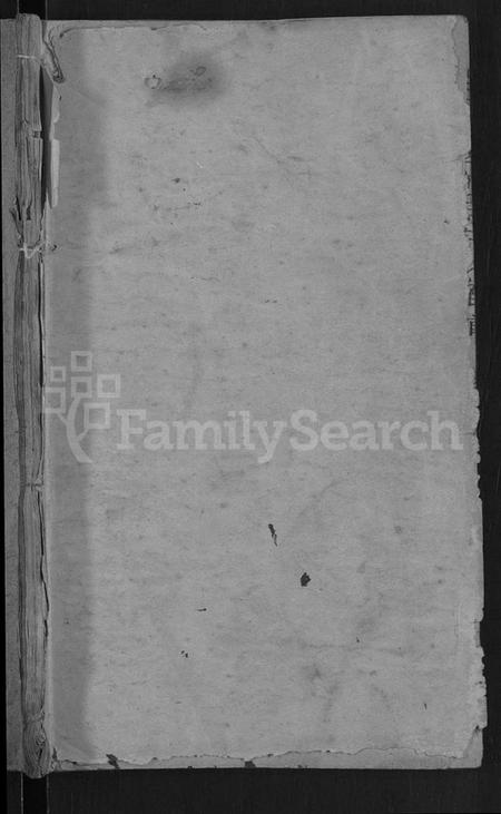 湖北王氏族谱-王氏四修宗谱 [10卷,首3卷](别名：王氏宗谱、王氏族谱).pdf电子版插图1