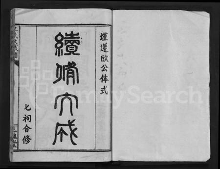 湖北王氏族谱-王氏大成谱 [82卷](别名：王氏宗谱、Wang Shi Da Cheng Pu).pdf电子版插图1