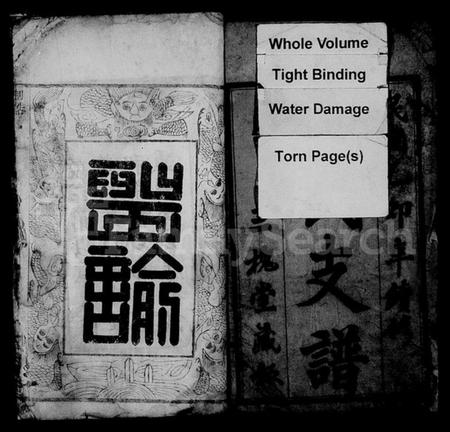 湖北王氏族谱-王氏宗谱 [16卷,及卷首](别名：王氏支谱).pdf电子版插图2