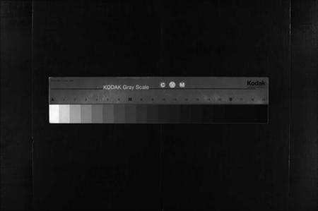 湖北王氏族谱-王氏宗谱 [3卷,首1卷](别名：王氏宗谱金奎房支分续修、王氏宗谱、Wang Shi Zong Pu).pdf电子版