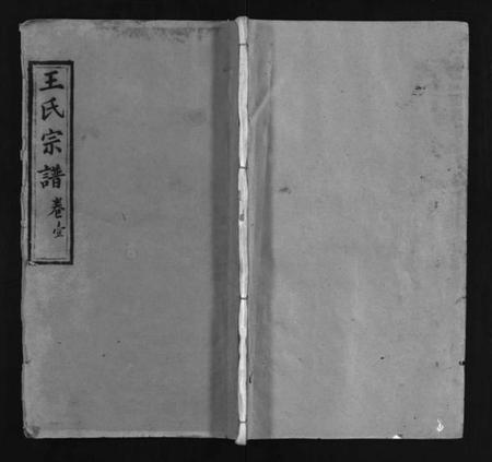 湖北王氏族谱-王氏宗谱 [3卷,首1卷](别名：王氏宗谱金奎房支分续修、王氏宗谱、Wang Shi Zong Pu).pdf电子版插图1