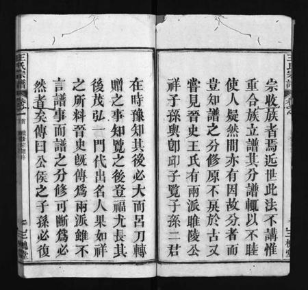 湖北王氏族谱-王氏宗谱 [3卷,首1卷](别名：王氏宗谱金奎房支分续修、王氏宗谱、Wang Shi Zong Pu).pdf电子版插图3