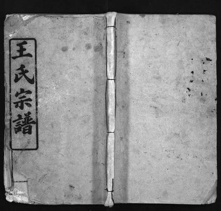 湖北王氏族谱-王氏宗谱 [5卷,首1卷](别名：Wang Shi Zong Pu).pdf电子版插图1