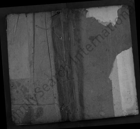 湖北王氏族谱-王氏宗谱 [8卷,首1卷](别名：义水王氏宗谱、Wang Shi Zong Pu).pdf电子版