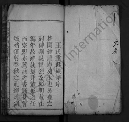 湖北王氏族谱-王氏宗谱 [8卷,首1卷](别名：义水王氏宗谱、Wang Shi Zong Pu).pdf电子版插图1