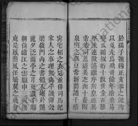 湖北王氏族谱-王氏宗谱 [8卷,首1卷](别名：义水王氏宗谱、Wang Shi Zong Pu).pdf电子版插图4